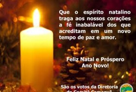 Feliz Natal e Próspero Ano Novo!